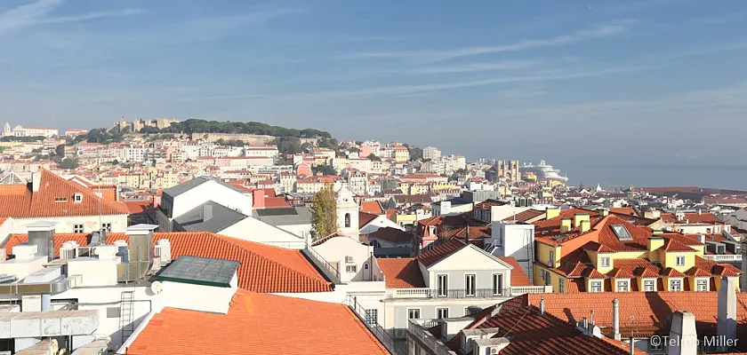 Ordem dos Advogados assina Protocolo com a Plataforma de Apoio aos Refugiados